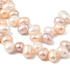 Natural Cultured Freshwater Pearl Beads Strands PEAR-I007-04F-01B-4