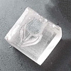 Resin Chapter DIY-WH0183-17G-2
