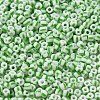 6/0 Opaque Colours Seep Glass Seed Beads X-SEED-F003-04A-06-3