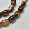 Natural Sardonyx Agate Beads Strands G-K208-37B-3