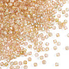 Picasso Baking Paint Glass Seed Beads SEED-TA0001-62A-2