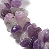 Natural Lepidolite/Purple Mica Stone Beads Strands X-G-P497-03A-06-2