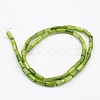 Natural Shell Bead Strands BSHE-P016-16-2