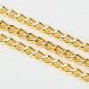 Iron Twisted Chains Curb Chains CHS003Y-G-1