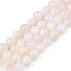 Natural Freshwater Shell Beads Strands BSHE-T009A-01B-1