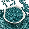 Baking Paint Pearlized Glass Seed Beads SEED-C001-04A-05-2