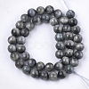 Natural Hawk's Eye Beads Strands G-S333-10mm-034-2