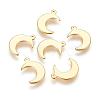 304 Stainless Steel Charms STAS-H557-31G-1