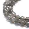 Natural Grey Moonstone Beads Strands G-A245-A05-01-3