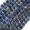Natural Sodalite Beads Strands G-K389-E74-01B-1