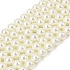 Eco-Friendly Dyed Glass Pearl Round Beads Strands HY-A002-10mm-RB011-1