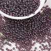 MIYUKI Round Rocailles Beads SEED-X0055-RR0302-1