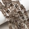 Natural Smoky Quartz Beads Strands G-P622-A01-01-1
