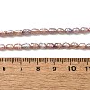 Natural Cultured Freshwater Pearl Beads Strands PEAR-I007-01L-02-5