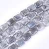 Natural Labradorite Beads Strands X-G-T121-13-2