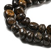 Natural Bronzite Beads Strands G-D081-A11-02-4