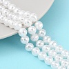 Electroplated Glass Pearl Beads Strands BSHE-C007-A01-01-1-2