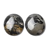 Natural Dendritic Jasper Cabochons G-F608-02A-01-3