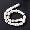 Natural Howlite Beads Strands G-L235A-14-4