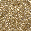 8/0 Glass Seed Beads SEED-A006-3mm-102-2