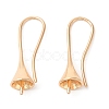 Brass Earring Hooks KK-Q770-10G-1