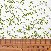 12/0 FGB Grade A Round Glass Seed Beads SEED-N001-A-1025-3