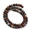 Natural Picture Jasper Beads Strands G-H037-A01-01-3