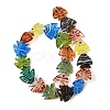 Handmade Lampwork Beads LAMP-H073-01-4