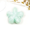 Resin Claw Hair Clips PW-WG0E0E6-09-1