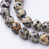 Natural Dalmatian Jasper Beads Strands X-GSR004-2
