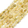 Natural Gold Rutilated Quartz Beads Strands G-K395-A09-01-2