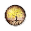 Round Glass Brooches LS-JEWB-A022-02E-1