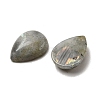 Natural Labradorite Pendants G-F760-01B-06-02-2