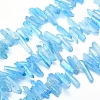 Electroplated Natural Quartz Crystal Beads Strands G-P368-05A-1