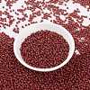 MIYUKI Round Rocailles Beads X-SEED-G008-RR0010-2