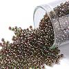 TOHO Round Seed Beads SEED-JPTR11-0250-1