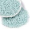 Glass Seed Beads SEED-T007-01K-3