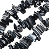 1 Strand Dyed Natural Trochus Shell Beads Strands SSHEL-PA0001-01C-1