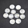 Shell Cabochons SSHEL-E568-B02-2