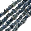 Natural Kyanite/Cyanite/Disthene Chip Beads Strands X-G-E271-78-2