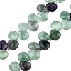 Natural Purple Fluorite Gemstone Beads Strands X-G-T006-04-1