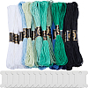 3 Sets 3 Style 6-Ply Polyester Embroidery Floss OCOR-GF0003-41B-1