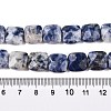 Natural Blue Spot Jasper Beads Strands G-T138-172-5