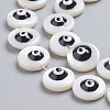 Natural Shell Beads Strands SSHEL-I024-03C-02-3