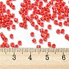 Baking Paint Glass Seed Beads SEED-S042-05A-34-4