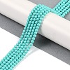 Synthetic Turquoise Beads Strands G-U004-02N-2