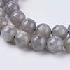 Natural Labradorite Beads Strands G-G212-8mm-23-3