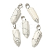 Natural Howlite Pendants G-Z067-07P-07-2