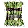 10 Skeins 6-Ply Polyester Embroidery Floss OCOR-K006-A02-1