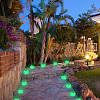 30Pcs Luminous Translucent Resin Pendants RESI-SZ0003-34-6